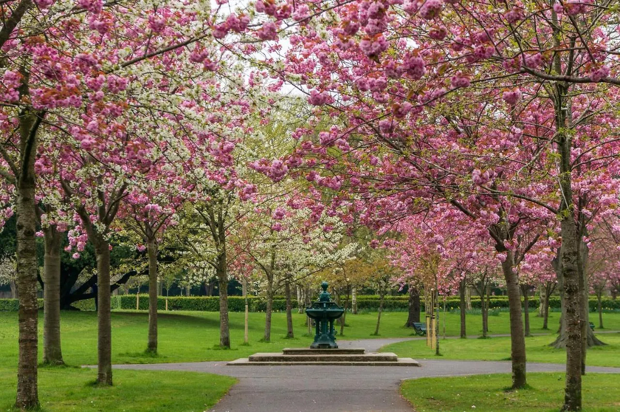 Park Residence at Herbert Park Hotel Dublin 4*,